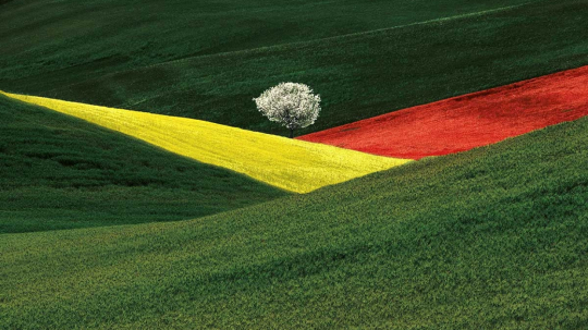 TUTTO IL COLORE DI FRANCO FONTANA IN UNA LEZIONE APERTA SABATO 23 NOVEMBRE A MANTOVA